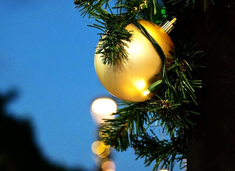 Skinny Christmas Trees: Style, Love, and Family Ties